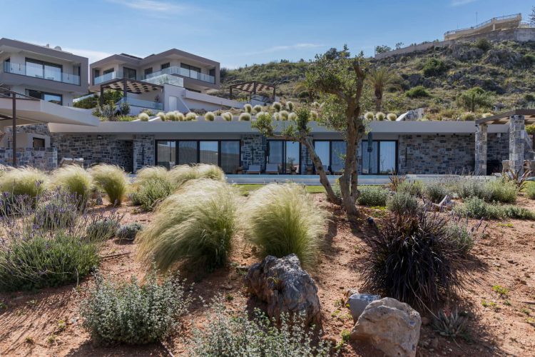 Lamina-olea-hills-0094